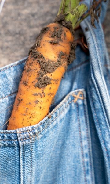 Afbeelding voor Regeneratieve landbouw