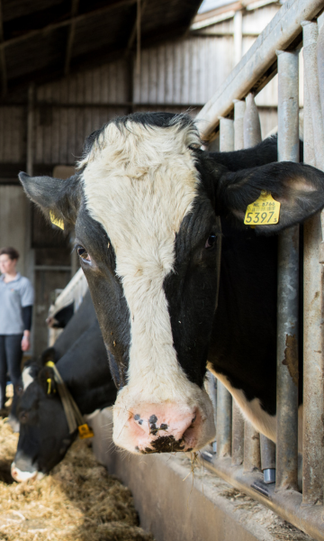 Afbeelding voor Subsidie Assistent | Het LeerErf